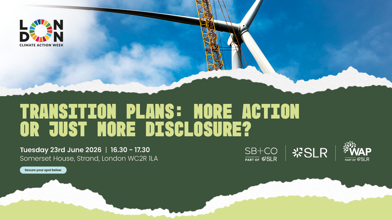 Transition Plans: More Action or Just More Disclosure?&nbsp;